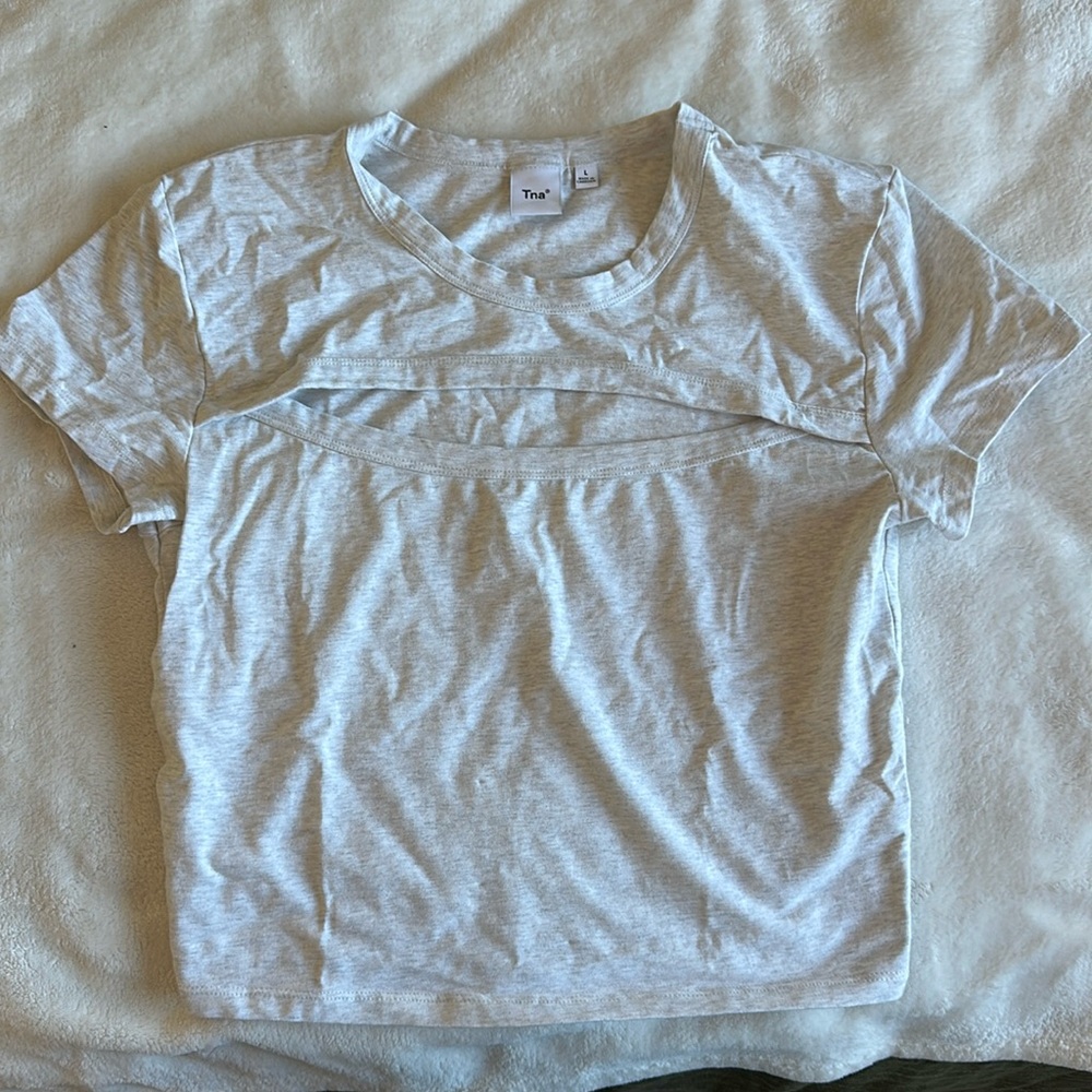 Aritzia Tna Heather Gray Cropped Tee Cutout